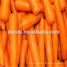 Органическая сушеная морковь